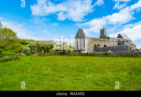 County Clare, Irland: Corcomroe Abbey Ruinen (St. Maria von den fruchtbaren Rock), Zisterzienser Kloster in der Nähe von Bellharbor in Glennamannagh und Ballyv entfernt Stockfoto