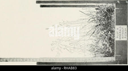 . Das Buch der Rothamsted Experimente. Lawes, J. B. (John Bennett), 1814-1900; Gilbert, Joseph Henry, Sir, 1817-1901; Rothamsted Experimental Station; Landwirtschaft - Experimentieren; Landwirtschaftliche Chemie.fMt; xi | /* 100.. Bitte beachten Sie, dass diese Bilder sind von der gescannten Seite Bilder, die digital für die Lesbarkeit verbessert haben mögen - Färbung und Aussehen dieser Abbildungen können nicht perfekt dem Original ähneln. extrahiert. Hall, Daniel, Sir, 1864-1942; Lawes landwirtschaftlichen Vertrauen Ausschusses; Warington, Robert, 1838-1907. London, J. Murray Stockfoto