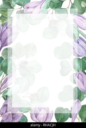 Crocus Eukalyptus hochzeit einladung Vorlage. Hand gemalte Aquarell Safran Hintergrund. Frühling Hochzeit Konzept. Stockfoto
