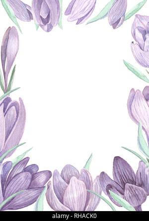 Safran Blumen auf weiße Feder Ausschreibung Hintergrund. Hand gemalte Aquarell crocus blumen Hochzeit Einladung Vorlage. Stockfoto