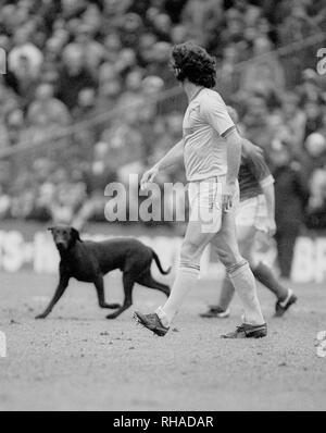 JOHN WARK, Hund, Liverpool FC,, 1985 Stockfoto