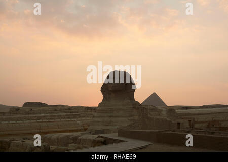 Sphinx, die Pyramiden von Gizeh bei Sonnenuntergang, Ägypten Stockfoto