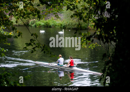 Die ruderer auf der Taf Fluss, Cardiff, Wales, Vereinigtes Königreich Stockfoto