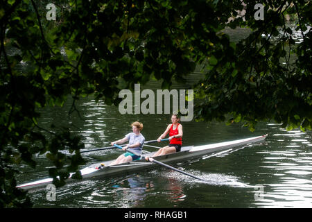 Die ruderer auf der Taf Fluss, Cardiff, Wales, Vereinigtes Königreich Stockfoto