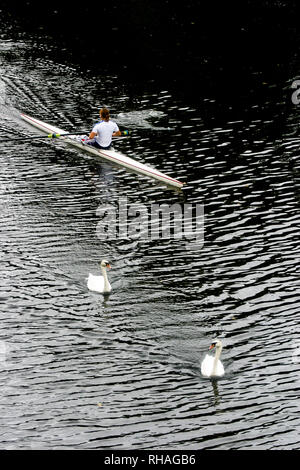 Rower auf der Taf Fluss, Cardiff, Wales, Vereinigtes Königreich Stockfoto