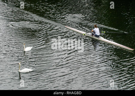 Rower auf der Taf Fluss, Cardiff, Wales, Vereinigtes Königreich Stockfoto