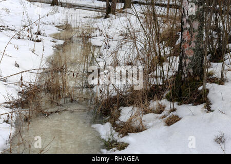 Finnische Wald im Frühling. Am Tag mal Fotografiert. In diesem Foto können sie Bäume und andere Pflanzen aus dem Wald, wenig Strom und Schnee. Stockfoto