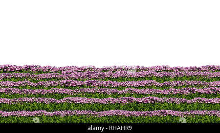 3D-Rendering der Reihe von Blumen auf weißem Hintergrund für die architektonische Verwendung der leicht geschnitten werden können, isoliert Stockfoto