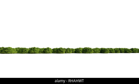 3D-Rendering für eine Gruppe von Pflanzen Roh für architectrural isoliert auf weißem Hintergrund verwenden Stockfoto