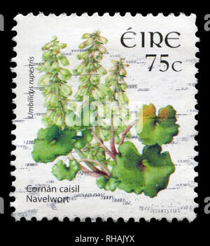 Briefmarke aus Irland in die wilden Blumen Dauerserien 2004-2011 Serie in 2006. Stockfoto