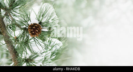 Nahaufnahme von Pine Cone unter Schnee. Winterurlaub Design mit Copyspace. Stockfoto