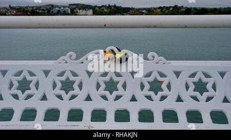 Princess Pier, Torquay, Devon, England Stockfoto