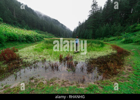 Kullu, Himachal Pradesh, Indien - September 02, 2018: Reisende mit Gras bedeckt punrik Rishi See von deodar Baum im Himalaya umgeben, Sainj Valley Stockfoto