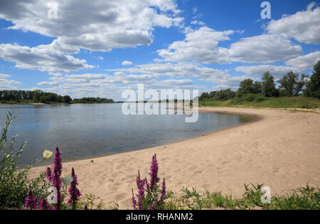 Elbe Beach, Stiepelsee, Amt Neuhaus, Stiepelsee/Elbe, Niedersachsen, Deutschland, Europa Stockfoto