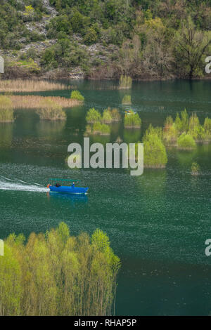 Nationalpark Skadarsee, Montenegro - April 2018: blue Schnellboot auf dem Skadarsee in Rijeka Crnojevica Stockfoto