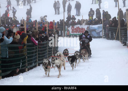 Internationalen Hundeschlittenrennen in Todtmoos Dorf, Waldshut, Baden-Württemberg, Deutschland, Europa, 26.-27. Januar 2019 Stockfoto