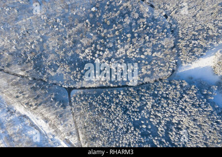 Von oben nach unten Blick auf den Wald im Winter. Winterlandschaft in den Wald. Im Winter landet. Stockfoto