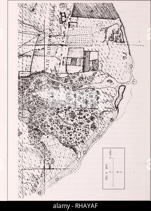 . Botanische Ressourcen Emma Holz State Beach und die Mündung des Flusses Ventura, Kalifornien: Inventory und Management: Bericht zum Zustand von Kalifornien Abteilung der Parks und Erholung/von Wayne R. Ferren Jr... [Et Al.].. Pflanzen; Kalifornien; Emma Holz State Beach.; Pflanzen; Kalifornien; Ventura Flussmündung.. 42. Bitte beachten Sie, dass diese Bilder sind von der gescannten Seite Bilder, die digital für die Lesbarkeit verbessert haben mögen - Färbung und Aussehen dieser Abbildungen können nicht perfekt dem Original ähneln. extrahiert. Ferren, Wayne R. Santa Barbara: Herbarium, Abt. der Biologi Stockfoto