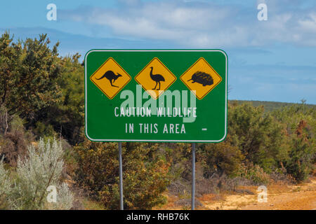 Vorsicht wild Zeichen in West Australien neben der Straße - Gefahr der Kängurus, Emus und Säugetiere Stockfoto