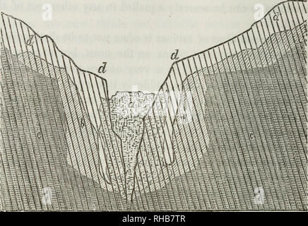 . Boston Journal der natürlichen Geschichte. Natural History. 86 Montagu auf Korallenformationen der Schlucht, die in diesem Fall möglicherweise durch die Rezession der fällt nicht gebildet werden kann, erstreckt sich fast drei fourlhs einer Meile, und dann Grundlage dieses Branchen-Know-hows verbreitert werden, in ein Tal, abschließende Seaward in eine weite Ebene. Teile DER SCHLUCHT IM HERBST VAINAFA.. Bei Hilo, auf der Insel Hawaii, es ist eine sehr schöne Miniatur Schlucht von dieser Klasse, die in der Kaskade von Waianuenue, ("das Wasser des Regenbogens,") und es gibt großartige Beispiele in den Fällen der Wailua und Hanapepe im ist Stockfoto