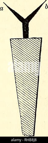 . Das Buch der Garten. Gartenarbeit. Flügel ist in der üblichen Mann-ner gebaut, und Gefälzt auf der Innenseite alle Runden, für die Neu-übersetzungsaktes ^ er Glas j Die astragals oder Bars flach auf dem oberen Seiten sind, und genau auf der Höhe des Rabatts im Rahmen. Das Glas ist in Quadrate schneiden und legte auf die Balken auf eine sehr dünne Schicht Kitt, und befestigt, die durch einen metallischen Schrauben und flachen Kragen, der an jedem Winkel platziert sind - die untere Seite der Muffe halten Sie das Glas in seinen Platz. Die Vorteile dieser Modus wird in der Präsentation eine ebene Oberfläche von Glas über das gesamte Dach-th zu bestehen Stockfoto