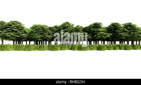 3D-Rendering für eine Gruppe von Pflanzen Roh für architectrural isoliert auf weißem Hintergrund verwenden Stockfoto