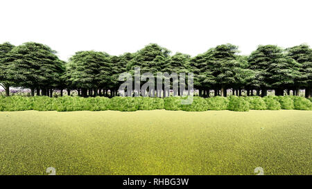 3D-Rendering für eine Gruppe von Pflanzen Roh für architectrural isoliert auf weißem Hintergrund verwenden Stockfoto