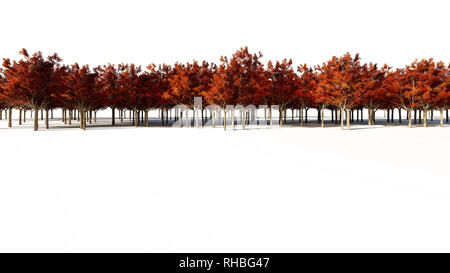 3D-Rendering für eine Gruppe von Pflanzen Roh für architectrural isoliert auf weißem Hintergrund verwenden Stockfoto