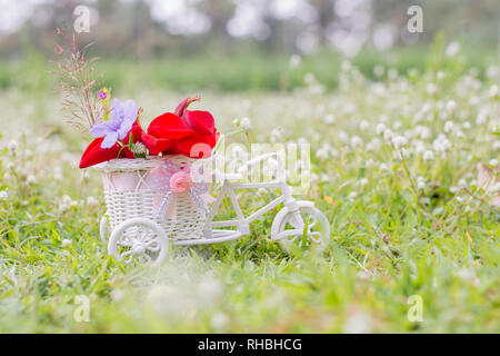 Blumenlieferungsfahrrad Stockfoto