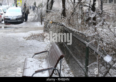 Gebrochene Äste auf dem Bürgersteig durch das Gewicht des Eises nach einem eisregen Phänomen Stockfoto