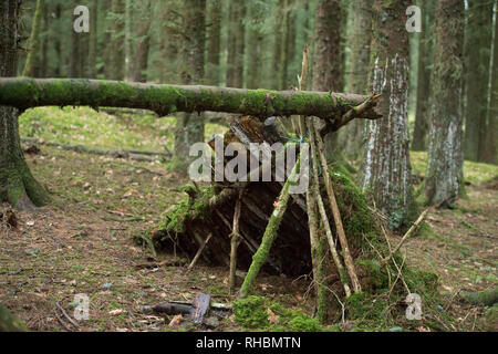 Woodland Tierheim auf das Überleben Kurs Stockfoto