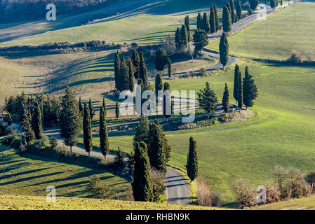 Detail der malerischen Straße von Zypressen in der toskanischen Landschaft in der Nähe von Monticchiello, Siena, Italien umrandete Stockfoto