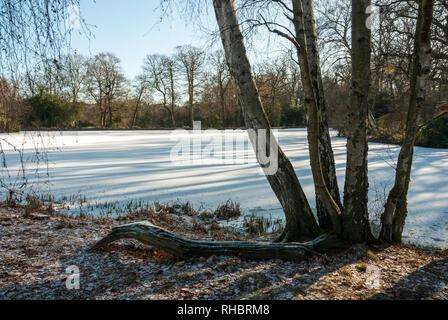 Winter sunshine Casting Shadows über das Eis und Schnee See am Kenwood, Hampstead, London. Stockfoto