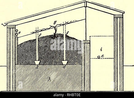 . Das Buch der Garten. Gartenarbeit. Wärme wird in der gleichen Weise durch die Rohre oder offene Pilaster geliefert; und dass Feuchtigkeit kann durch zugeben - ting Wasser in den Tank, der unter der Leitung evapo-ration, die Hitze der Rohre in das Gewölbe zu ändern, sowie ihren Weg in die Atmosphäre der Grube zu finden durch die Rohre oder hohle Pilaster zu verursachen beheizt werden geboten werden. Das Gewölbe ist bedeckt mit Pflaster, auf dem die notwendige Entwässerung der gebrochenen Brickbats auf die Dicke von 6 bzw. 8 Zoll platziert. Dünne Rasen ist auf die Entwässerung, auf, dass das Bett gebildet wird für die rece Stockfoto