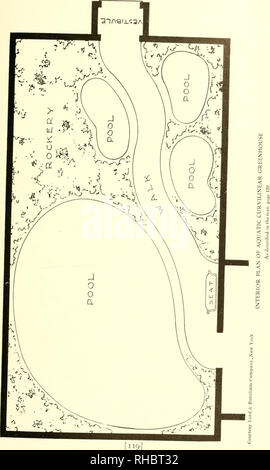 . Das Buch von Wasser im Garten;. Wasserpflanzen. [Aus dem alten Katalog]. Das BUCH VON WASSER IM GARTEN ARBEITEN. Bitte beachten Sie, dass diese Bilder sind von der gescannten Seite Bilder, die digital für die Lesbarkeit verbessert haben mögen - Färbung und Aussehen dieser Abbildungen können nicht perfekt dem Original ähneln. extrahiert. Bisset, Peter. [Aus dem alten Katalog]. New York, A. T. De La Mare Drucken und Publishing Co., Ltd. Stockfoto