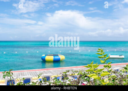 Sonnigen Sommertag auf einer Insel. Tropischen Pflanzen im Fokus mit unscharfen Blick auf Promenade und dem fließenden Wasser Trampolin auf Türkis Strand im Hintergrund Stockfoto