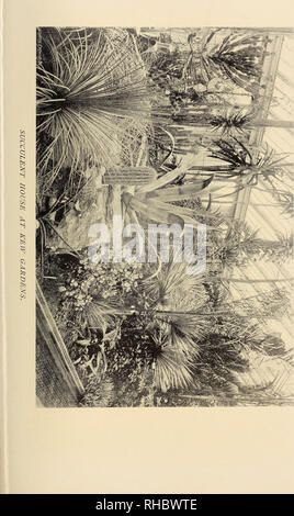 . Das Buch der Gartenarbeit; ein Handbuch der Gartenbau. Gartenarbeit ; Blumenkultur. . Bitte beachten Sie, dass diese Bilder sind von der gescannten Seite Bilder, die digital für die Lesbarkeit verbessert haben mögen - Färbung und Aussehen dieser Abbildungen können nicht perfekt dem Original ähneln. extrahiert. Drury, William D., 1857-1928, hrsg. London, Eng. , L. U. Gill; New York, U. S. A., C. Scribner's Söhne Stockfoto