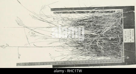 . Das Buch der Rothamsted Experimente. Lawes, J. B. (John Bennett), 1814-1900; Gilbert, Joseph Henry, Sir, 1817-1901; Rothamsted Experimental Station; Landwirtschaft - Experimentieren; Landwirtschaftliche Chemie. /Â y., Rf pogf. Bitte beachten Sie, dass diese Bilder sind von der gescannten Seite Bilder, die digital für die Lesbarkeit verbessert haben mögen - Färbung und Aussehen dieser Abbildungen können nicht perfekt dem Original ähneln. extrahiert. Hall, Daniel, Sir, 1864-1942; Lawes landwirtschaftlichen Vertrauen Ausschusses; Warington, Robert, 1838-1907. London, J. Murray Stockfoto