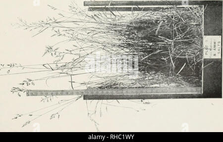 . Das Buch der Rothamsted Experimente. Lawes, J. B. (John Bennett), 1814-1900; Gilbert, Joseph Henry, Sir, 1817-1901; Rothamsted Experimental Station; Landwirtschaft - Experimentieren; Landwirtschaftliche Chemie. • .": -. Bitte beachten Sie, dass diese Bilder sind von der gescannten Seite Bilder, die digital für die Lesbarkeit verbessert haben mögen - Färbung und Aussehen dieser Abbildungen können nicht perfekt dem Original ähneln. extrahiert. Hall, Daniel, Sir, 1864-1942; Lawes landwirtschaftlichen Vertrauen Ausschusses; Warington, Robert, 1838-1907. London, J. Murray Stockfoto