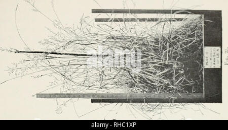 . Das Buch der Rothamsted Experimente. Lawes, J. B. (John Bennett), 1814-1900; Gilbert, Joseph Henry, Sir, 1817-1901; Rothamsted Experimental Station; Landwirtschaft - Experimentieren; Landwirtschaftliche Chemie. • .": -. Bitte beachten Sie, dass diese Bilder sind von der gescannten Seite Bilder, die digital für die Lesbarkeit verbessert haben mögen - Färbung und Aussehen dieser Abbildungen können nicht perfekt dem Original ähneln. extrahiert. Hall, Daniel, Sir, 1864-1942; Lawes landwirtschaftlichen Vertrauen Ausschusses; Warington, Robert, 1838-1907. London, J. Murray Stockfoto