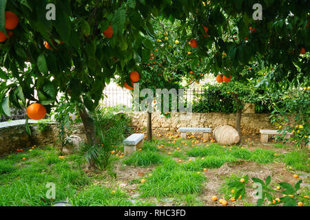 Geheime gardetn in Athen mit steinernen Bänken, Gras und Rasen, Linden, Orangen und Zitronen Bäume mit einem gefallenen Stein, Vase. Stockfoto