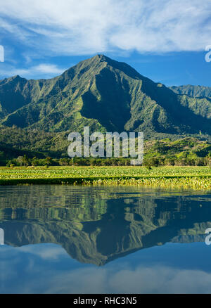 Taro Blätter Frame der Na Pali Berge in Kauai Stockfoto