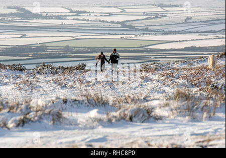 Swansea, Großbritannien. 01 Feb, 2019. Die Menschen wandern im Schnee auf der Spitze des Cefn Bryn in der Nähe von reynoldston auf der Halbinsel Gower in der Nähe von Swansea heute Nachmittag nach der Gegend war bedeckt mit Schnee. Credit: Phil Rees/Alamy leben Nachrichten Stockfoto