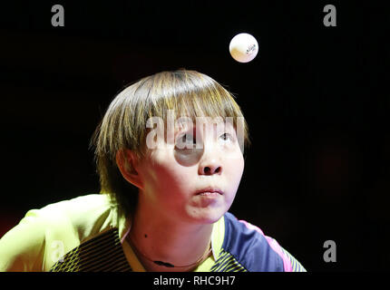 Peking, China. 1 Feb, 2019. Zhu Yuling dient während des Chinesischen Tischtennis Super League (CTTSL) in Peking, der Hauptstadt von China, Februar 1, 2019. Credit: Luo Yuan/Xinhua/Alamy leben Nachrichten Stockfoto