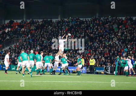 Cork, Irland. 1 Feb, 2019. Aktion aus der unter 20 Sechs Nationen Übereinstimmung zwischen Irland und England bei der Irish Independent Park. Quelle: David Ribeiro Stockfoto