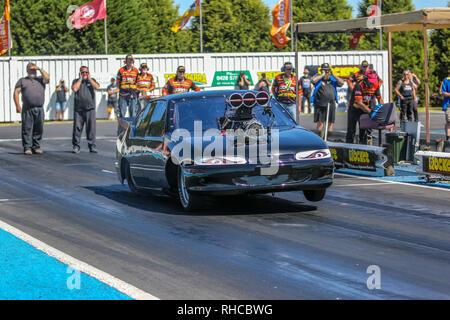 Portland, Victoria, Australien. 2 Feb, 2019. WildBunch aufgeladenen Outlaw John Mol in seiner Holden Commodore mit a511 CI TFX während des Qualifyings. Credit: Brett Keating/Alamy leben Nachrichten Stockfoto