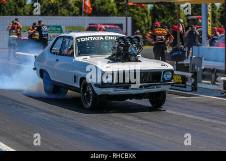 Portland, Victoria, Australien. 2 Feb, 2019. WildBunch aufgeladenen Outlaw Ben Stebbeings in seinem LJ Tornana mit einem Chev 350 während des Qualifyings. Credit: Brett Keating/Alamy leben Nachrichten Stockfoto