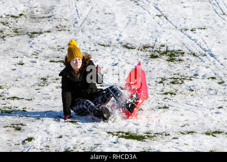 Chippenham, Wiltshire, UK. 2. Februar, 2019. Eine Frau genießen Sie den Schnee, bevor es taut ist dargestellt in einem lokalen Park in Chippenham, wie Sie fällt Ihr Schlitten. Credit: Lynchpics/Alamy leben Nachrichten Stockfoto