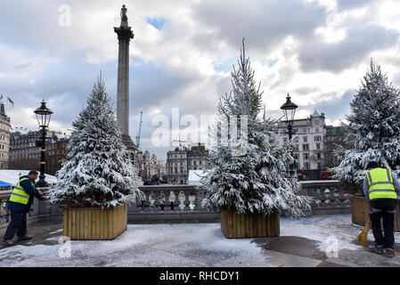 Trafalgar Square, London, UK. 2. Februar 2019. Tannen auf dem Trafalgar Square sind in fake Schnee in Vorbereitung des Cancer Research UK London Winter ausführen. Quelle: Matthew Chattle/Alamy leben Nachrichten Stockfoto