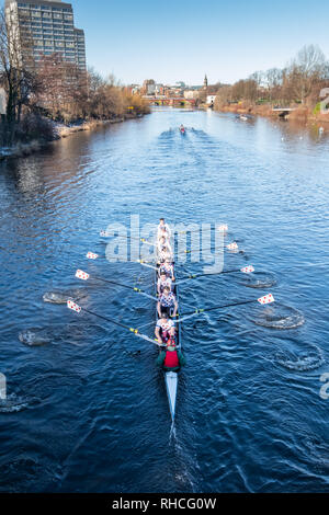 Glasgow, Schottland, Großbritannien. 2. Februar, 2019. UK Wetter. Die Ruderer auf einer ruhigen Fluss Clyde an einem kalten, sonnigen Tag. Credit: Skully/Alamy leben Nachrichten Stockfoto